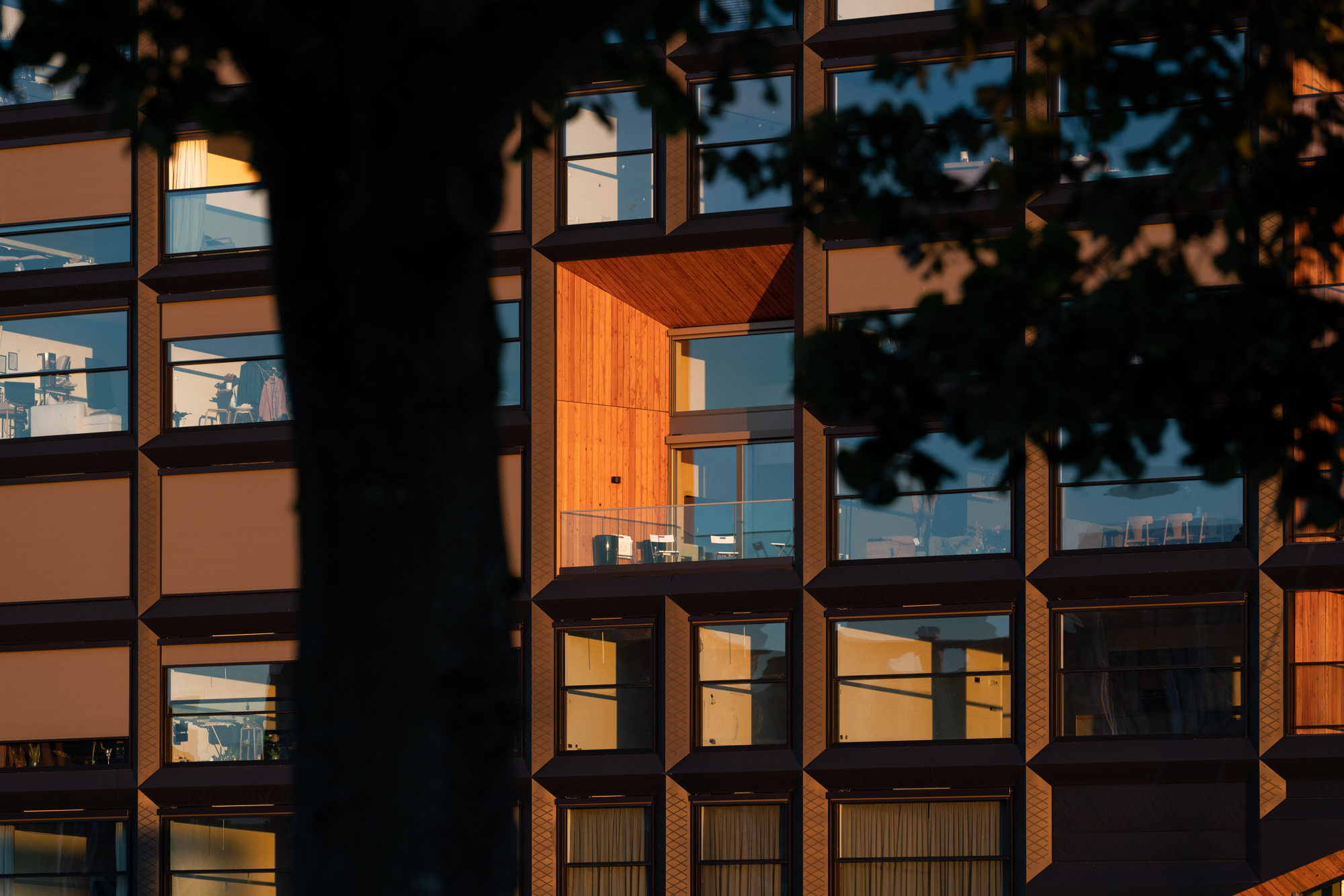 ©egbertdeboer.com LR20230905-9047.jpg