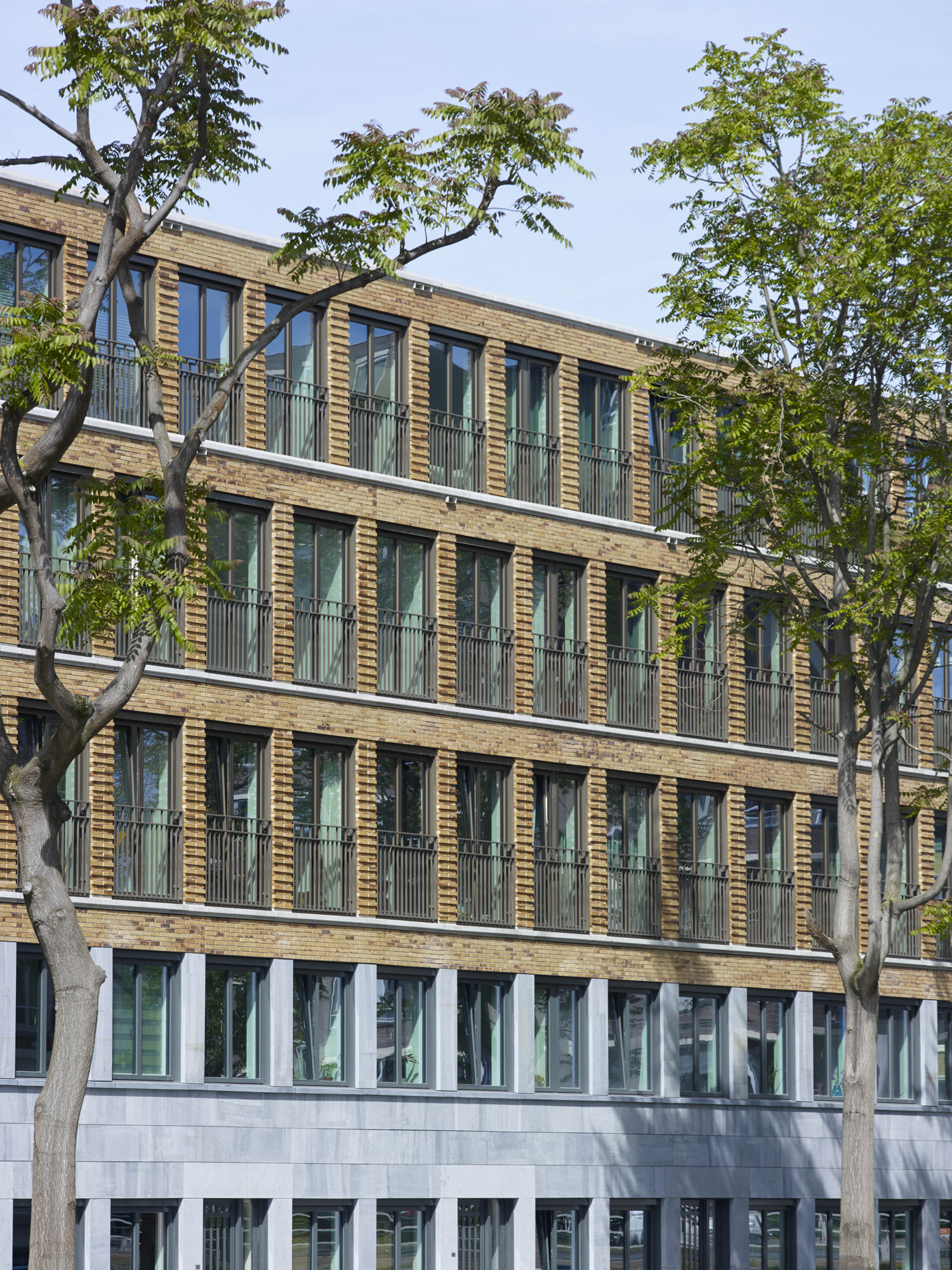 Van Vollenhovenkwartier Rotterdam 